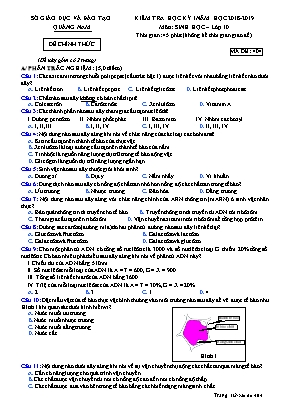 Đề kiểm tra học kỳ I môn Sinh học Lớp 10 - Mã đề 404 - Năm học 2018-2019 - Sở giáo dục và đào tạo tỉnh Quảng Nam